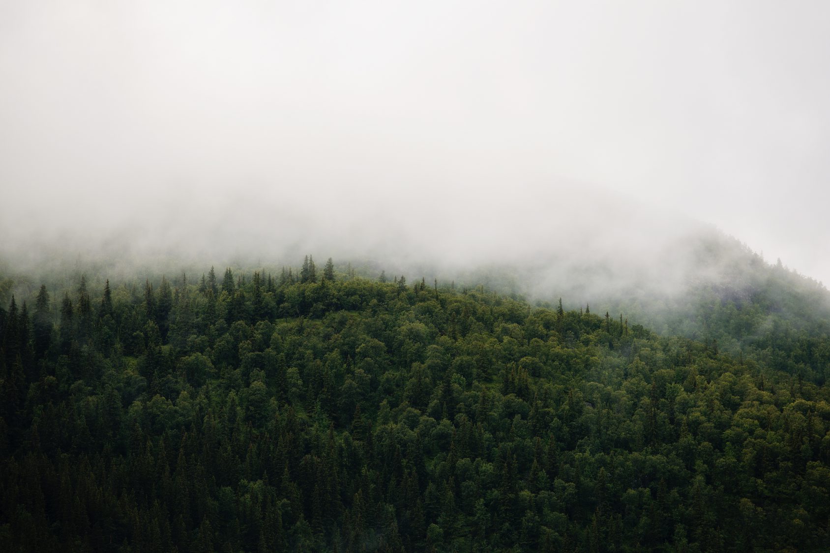 8 Sustainability Facts You Need To Know About