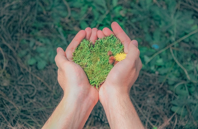 Person hold green earth in the shape of a heart: Sustainable Habits