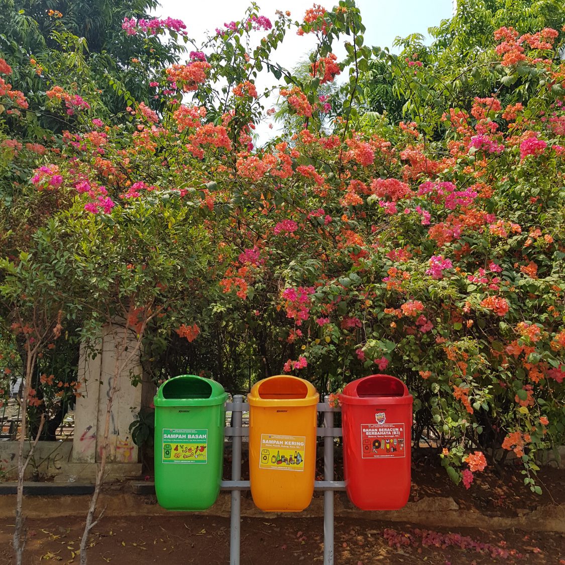 3 recycling bins how to help the environment